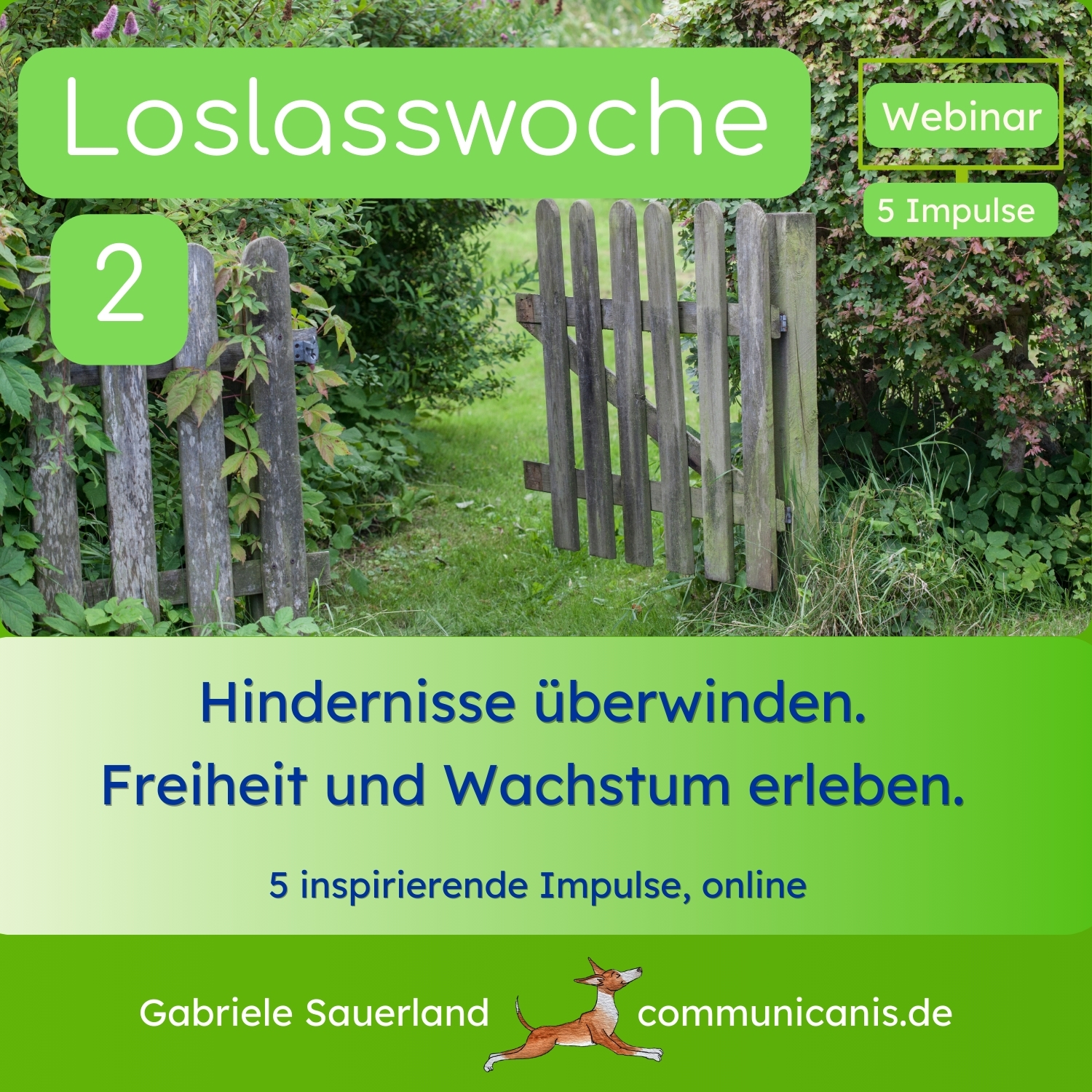 Loslasswoche 2 - Hindernisse überwinden, Freiheit und Wachstum erleben