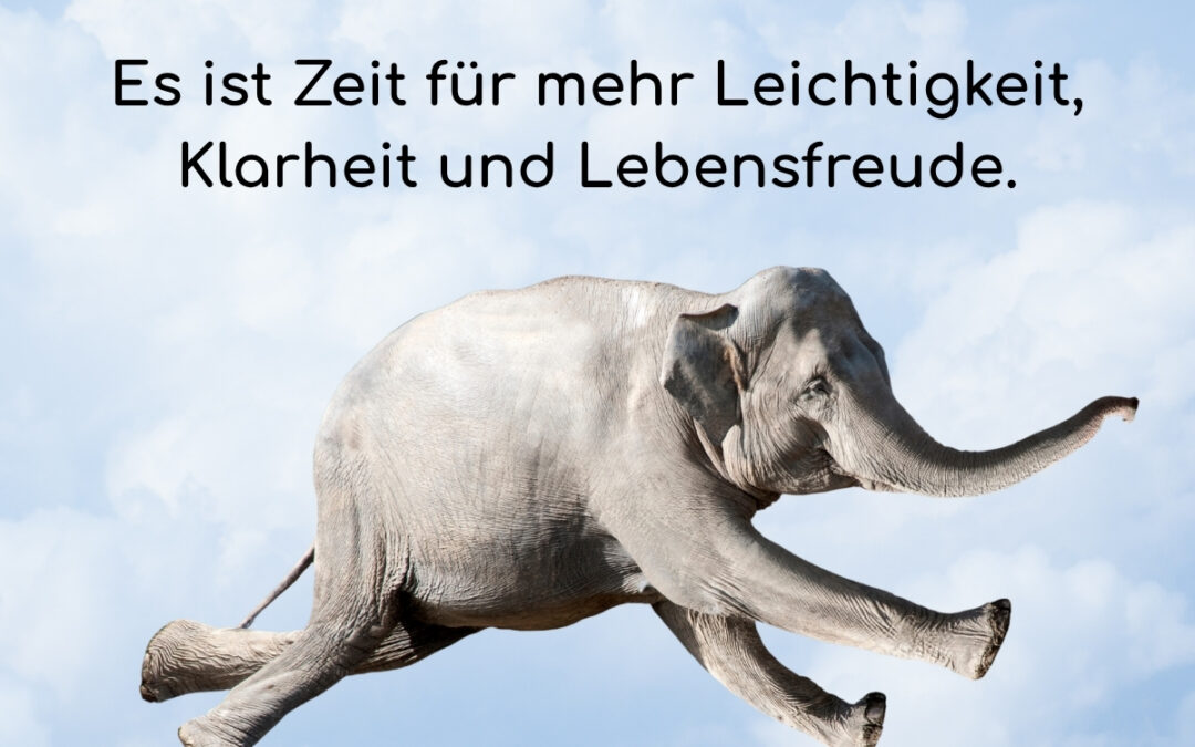 Loslasswoche 2: der innere Elefant kommt in Bewegung
