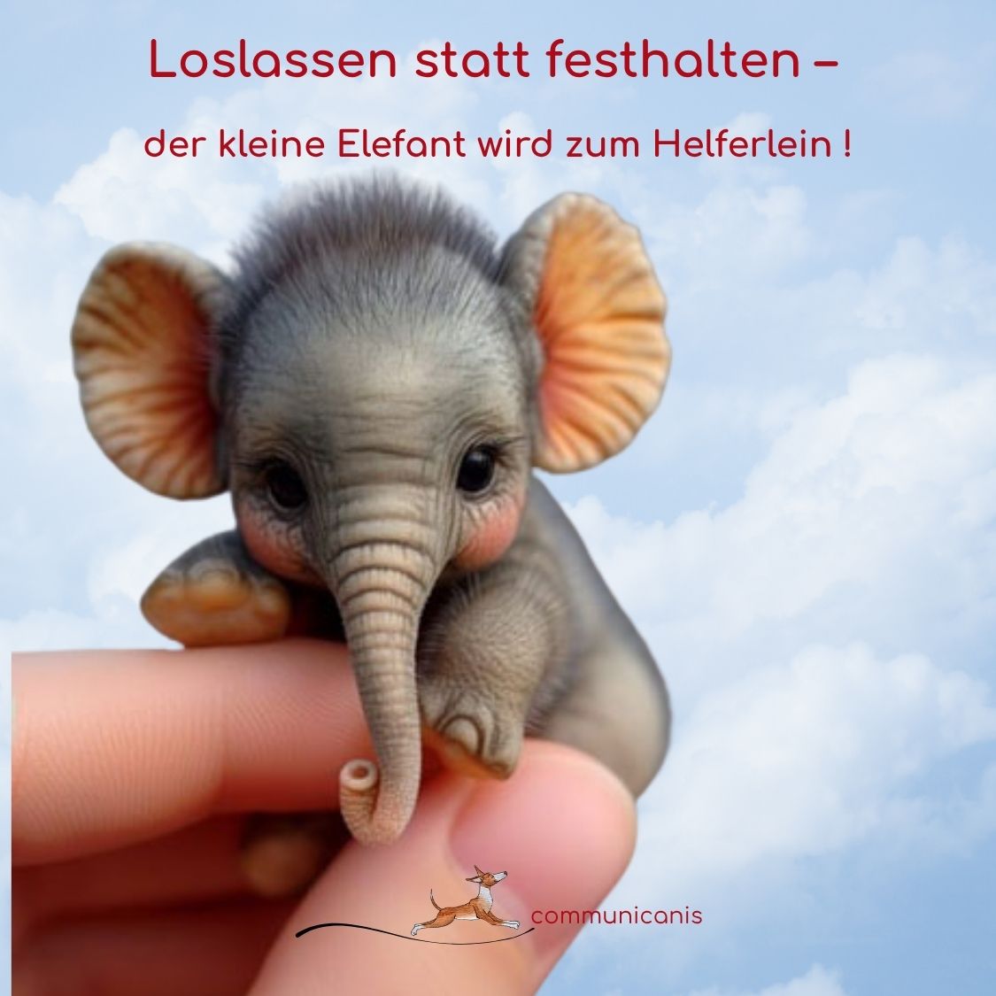 Loslasswoche - der kleine Elefant Loslasswoche - der kleine Elefant