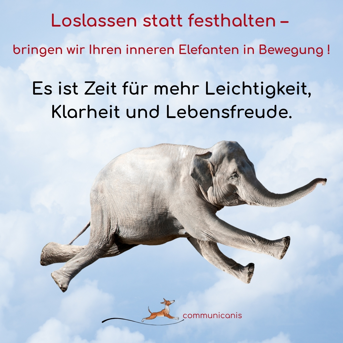 Loslasswoche - bringen wir den Elefanten in Bewegung