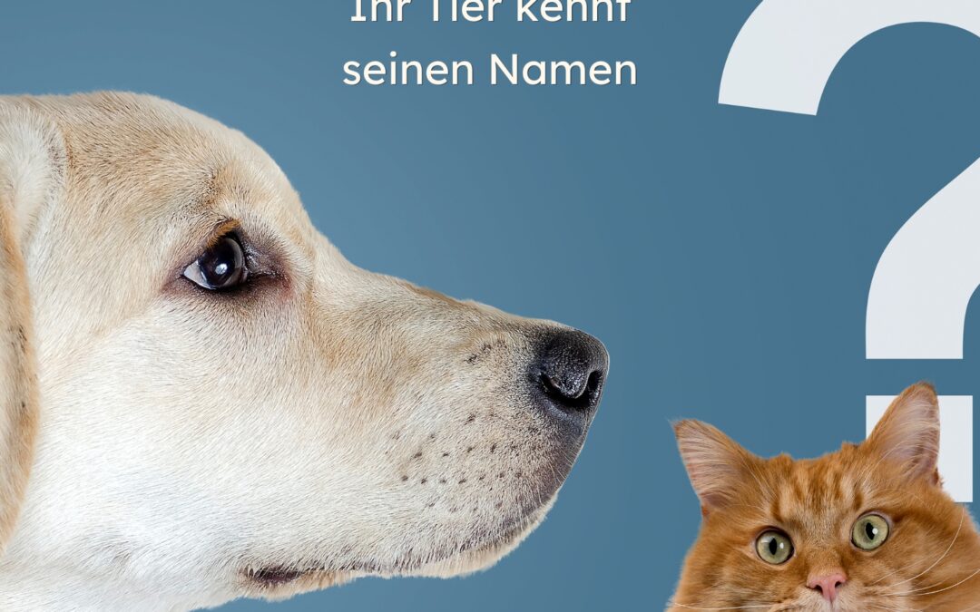 Namensfindung