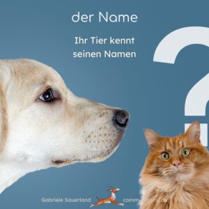 Namensfindung