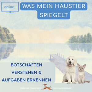 Was mein Haustier spiegelt