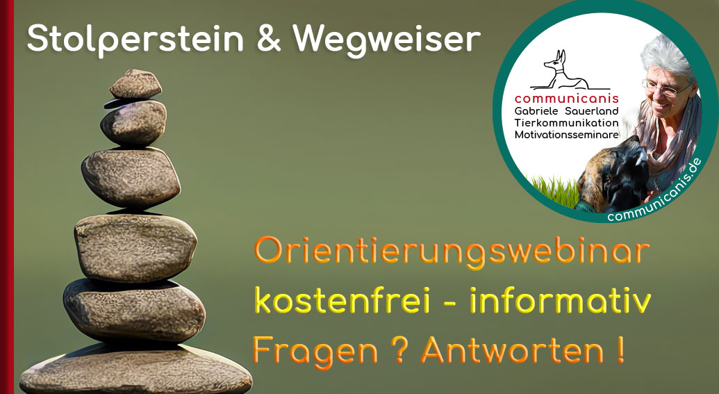 Orientierungswebinar zum Workshop Stolperstein & Wegweiser