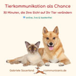 Verstehen, was Tiere bewegt – Tierkommunikation als Chance