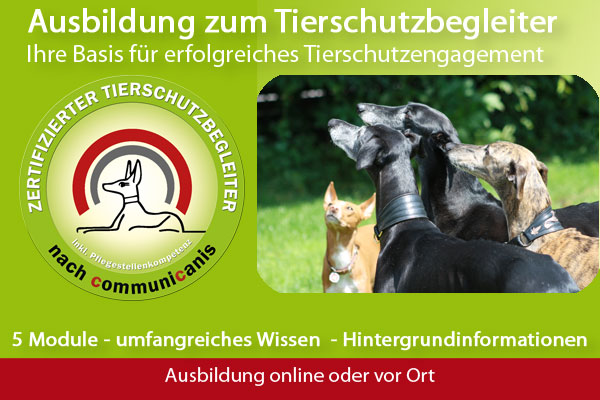 TSB | die Ausbildung zum Tierschutzbegleiter bei communicanis