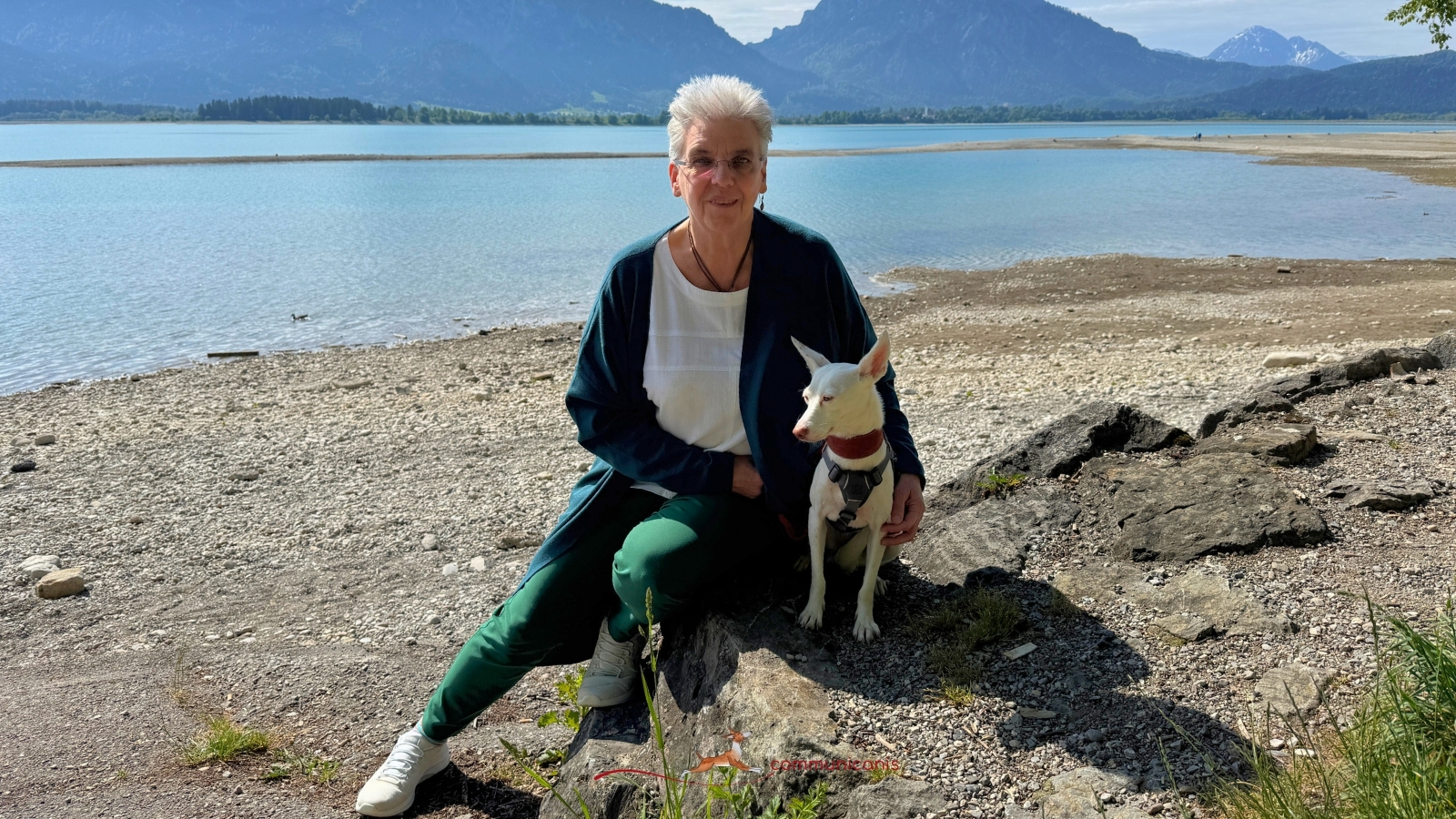 Tierkommunikation Tiere verstehen. Klarheit gewinnen.