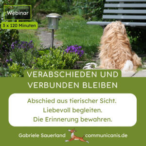 Verabschieden und verbunden bleiben