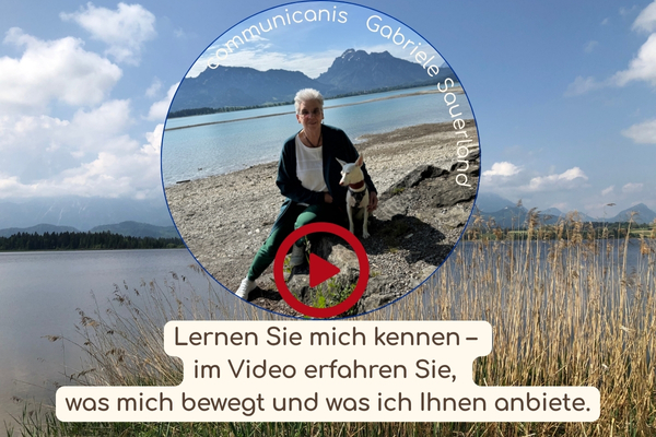 Video-Vorschau