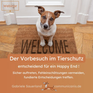 Der Vorbesuch im Tierschutz – Entscheidend für ein Happy End !