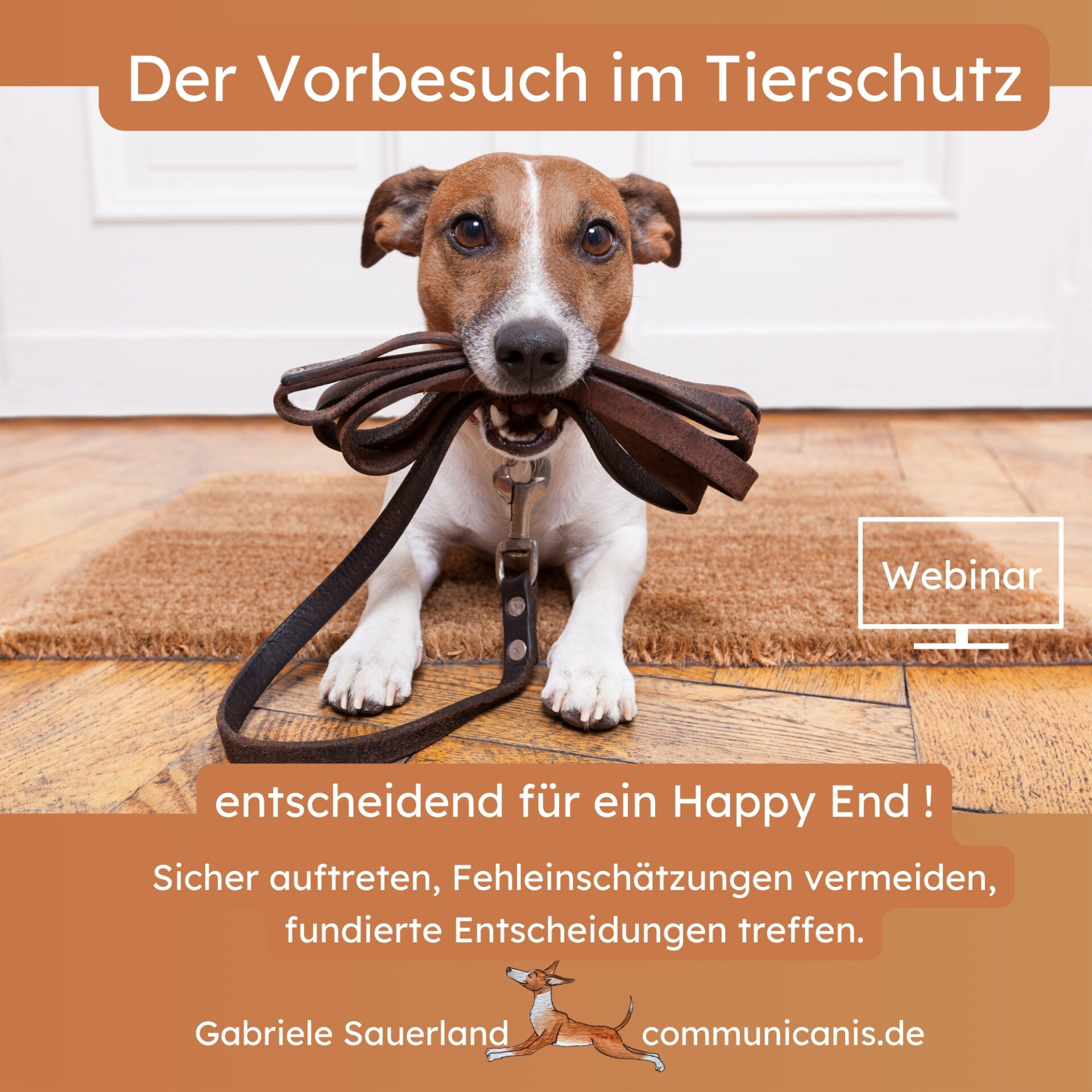 Der Vorbesuch im Tierschutz – Entscheidend für ein Happy End !