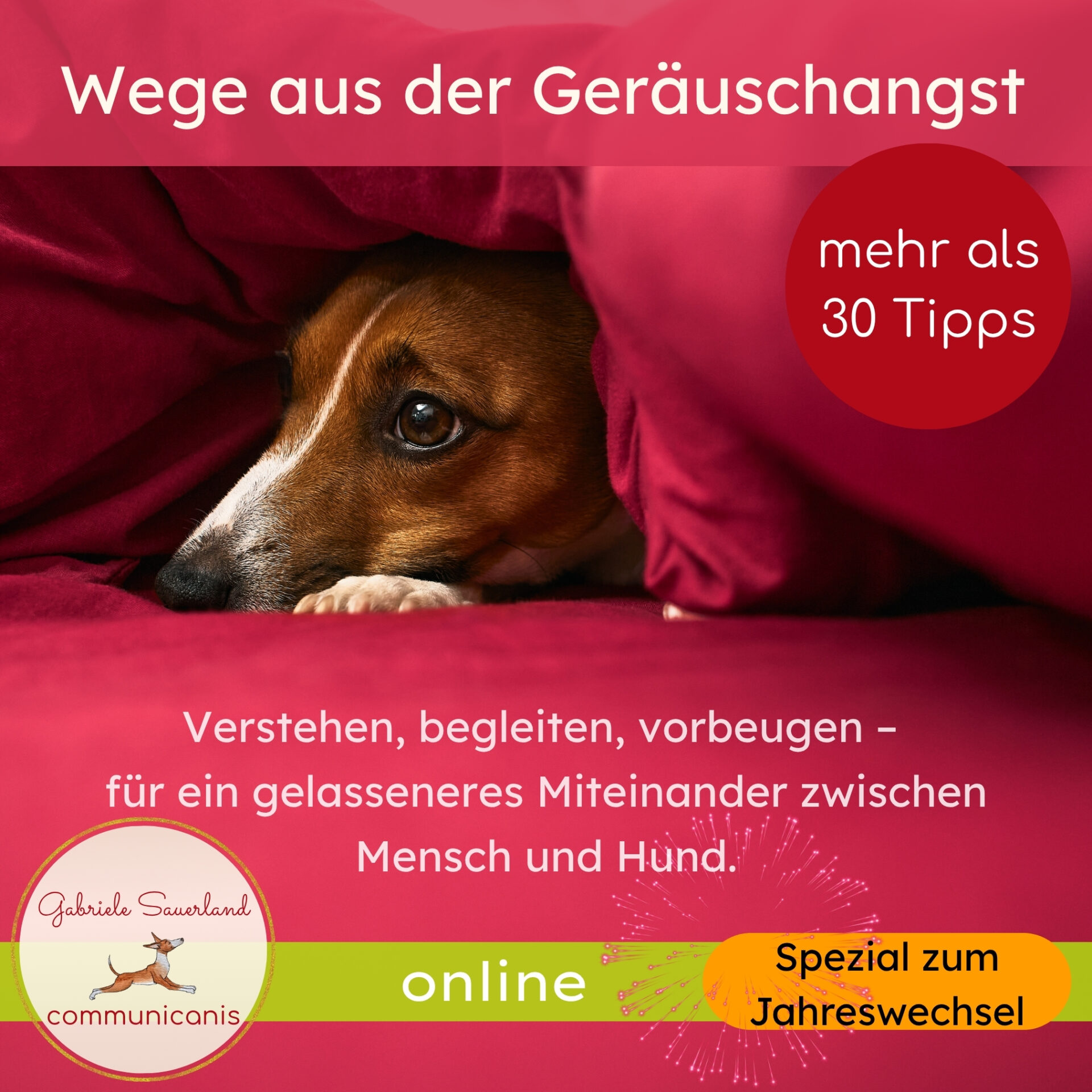 Wege aus der Geräuschangst