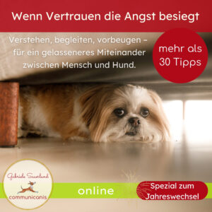 Wenn Vertrauen die Angst besiegt