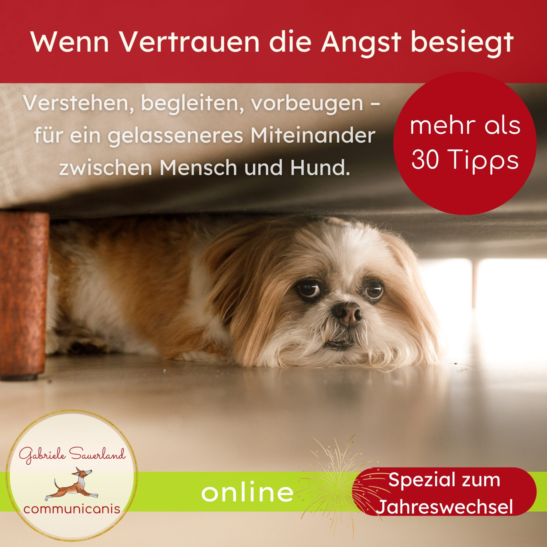 Wenn Vertrauen die Angst besiegt