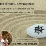 Workshop (Stolperstein & Wegweiser)