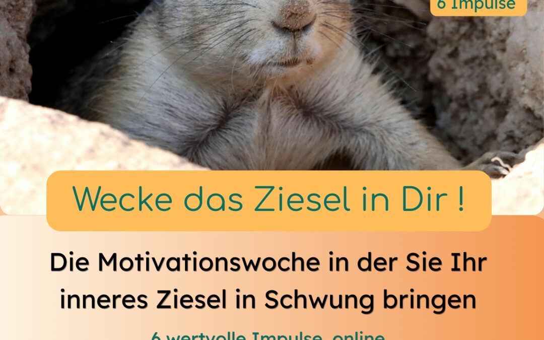 Impulse und Wachstum