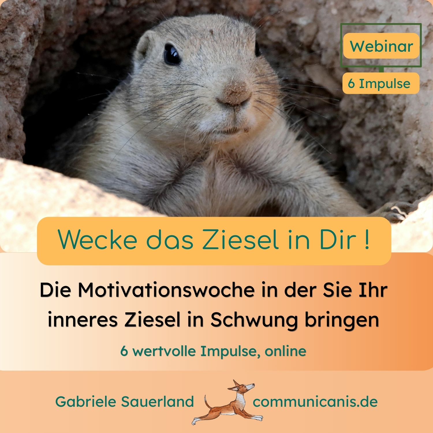 Ziesel Motivationswoche
