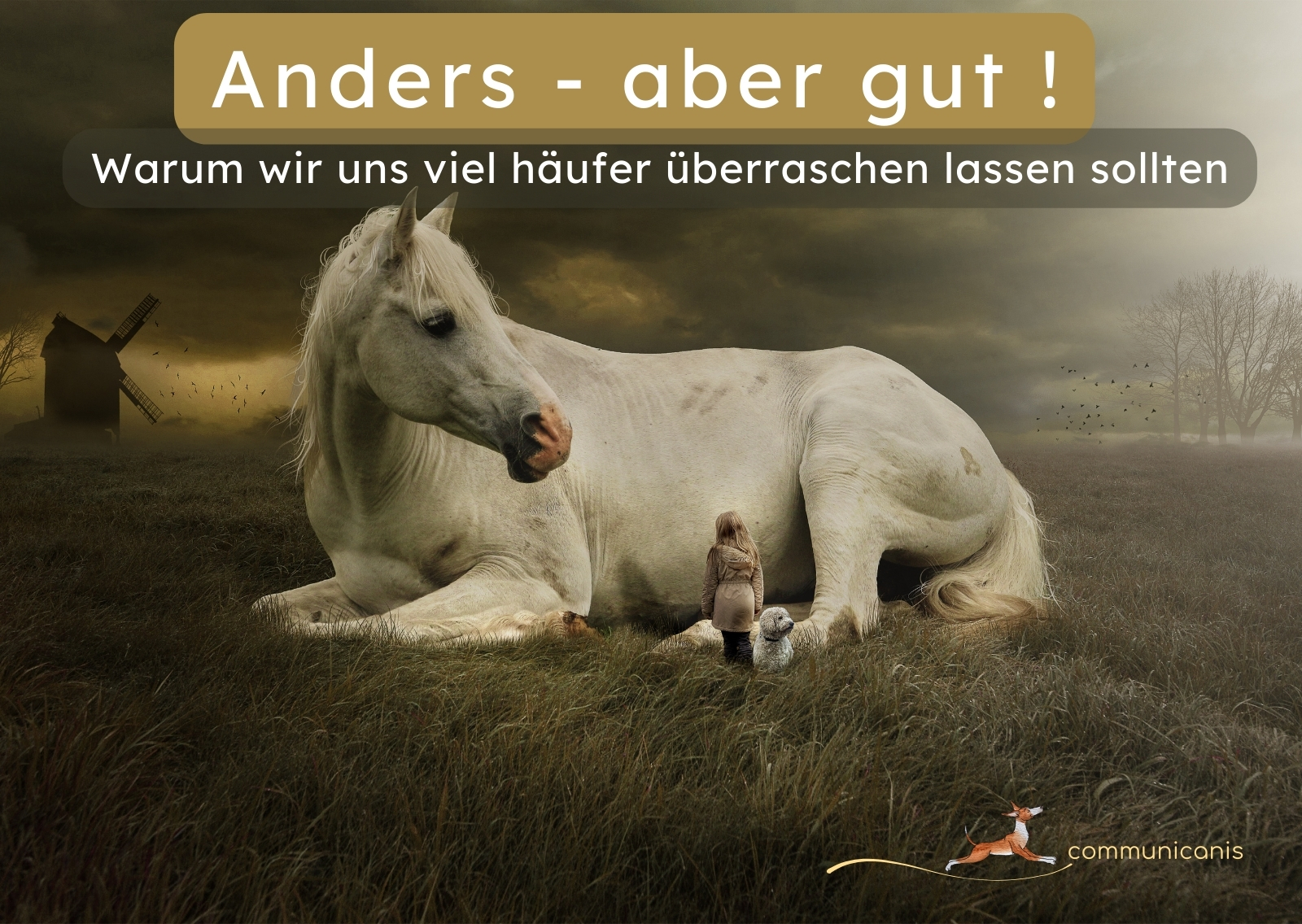 🍧Senfeis, rotpinke Socken & Charakterköpfe – warum „anders“ oft einfach gut ist