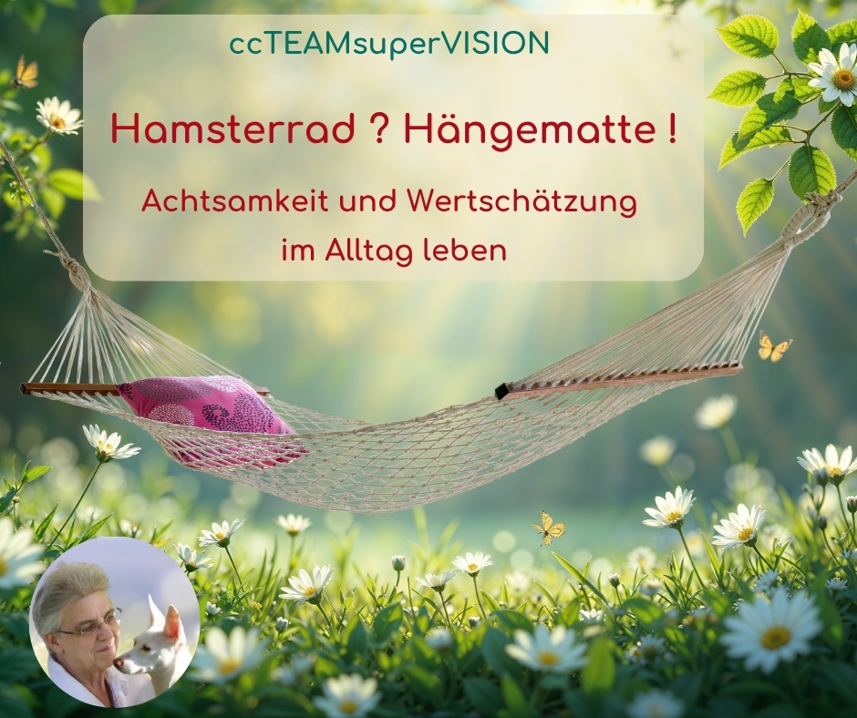 ccTEAM Achtsamkeit und Wertschätzung