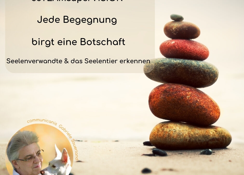Workshop ccTEAM: Jede Begegnung birgt eine Botschaft – von Mensch und Tier lernen