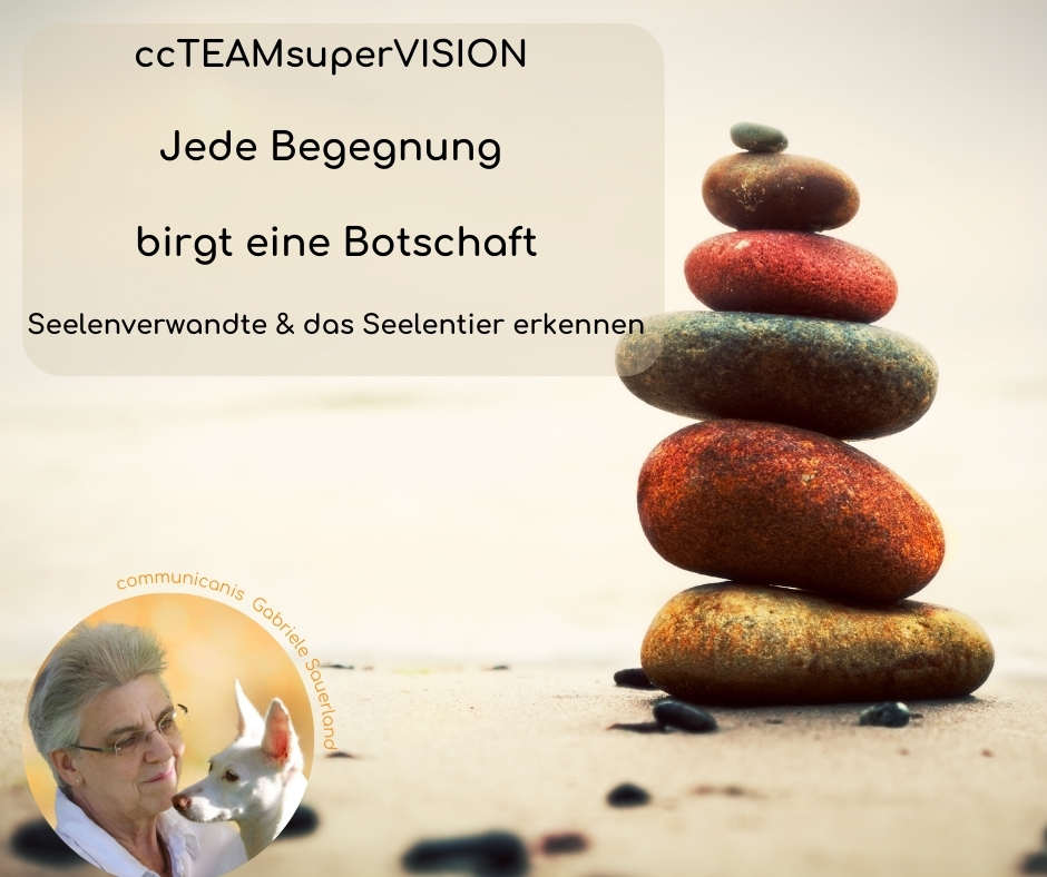 ccTEAM (Begegnung und Botschaft)