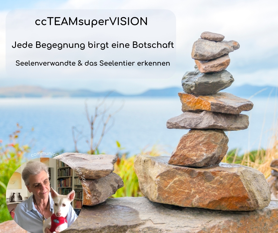 ccTEAM (Begegnung)