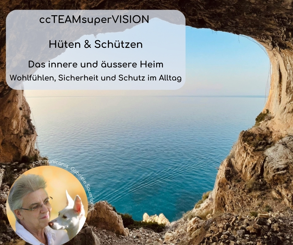 ccTEAM (Hüten & Schützen)