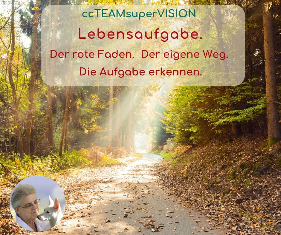 ccTEAM Lebensaufgabe