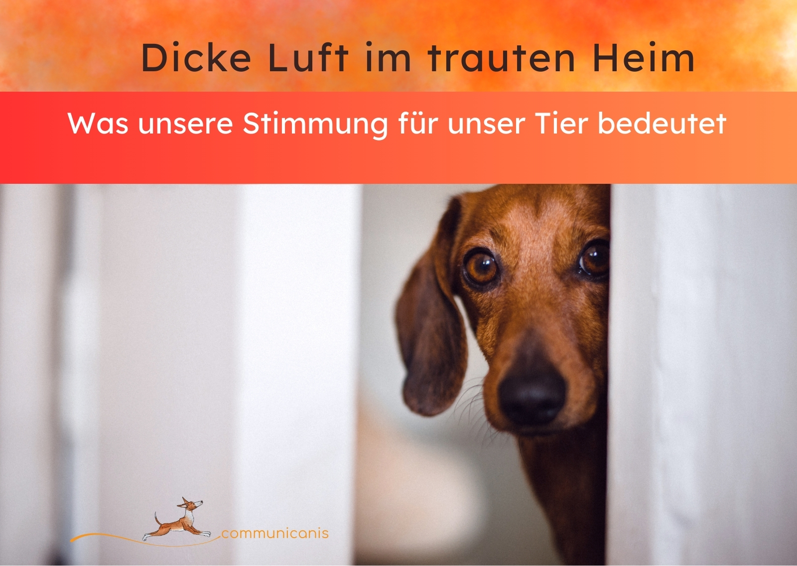 Dicke Luft im trauten Heim