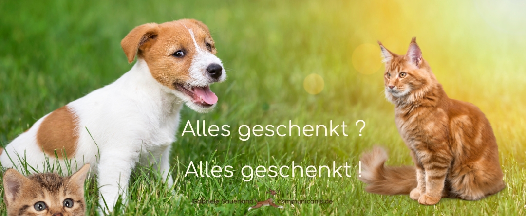 geschenkt